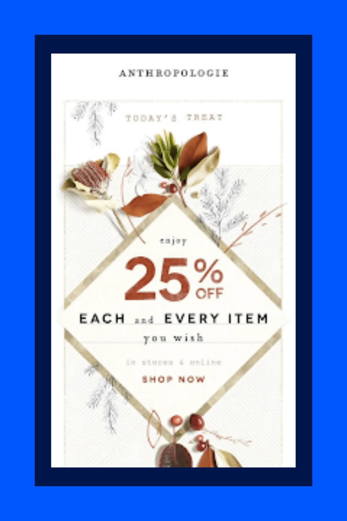 Anthropologie promotional email