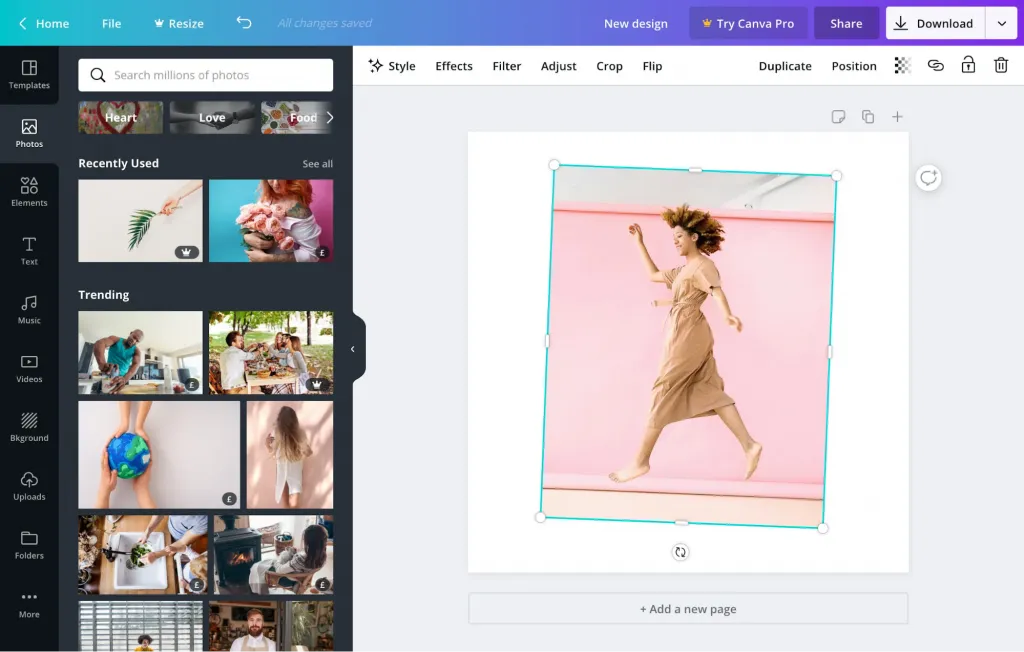 canva dashboard