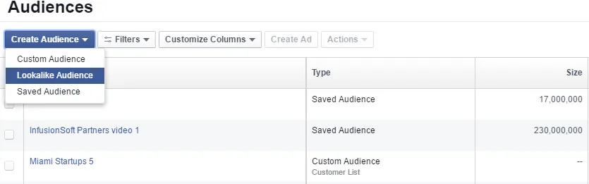 Facebook lookalike audience
