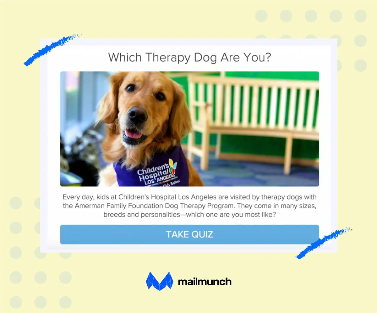 Most successful lead quiz example