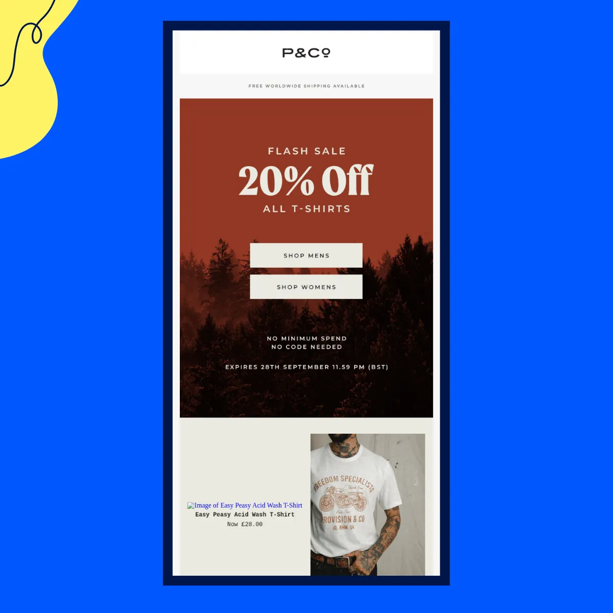 Flash Sales Examples: P&C