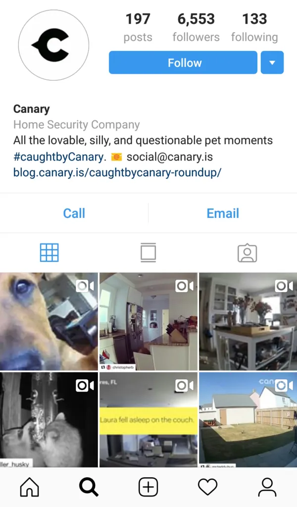 Canary's Secondary Instagram Page