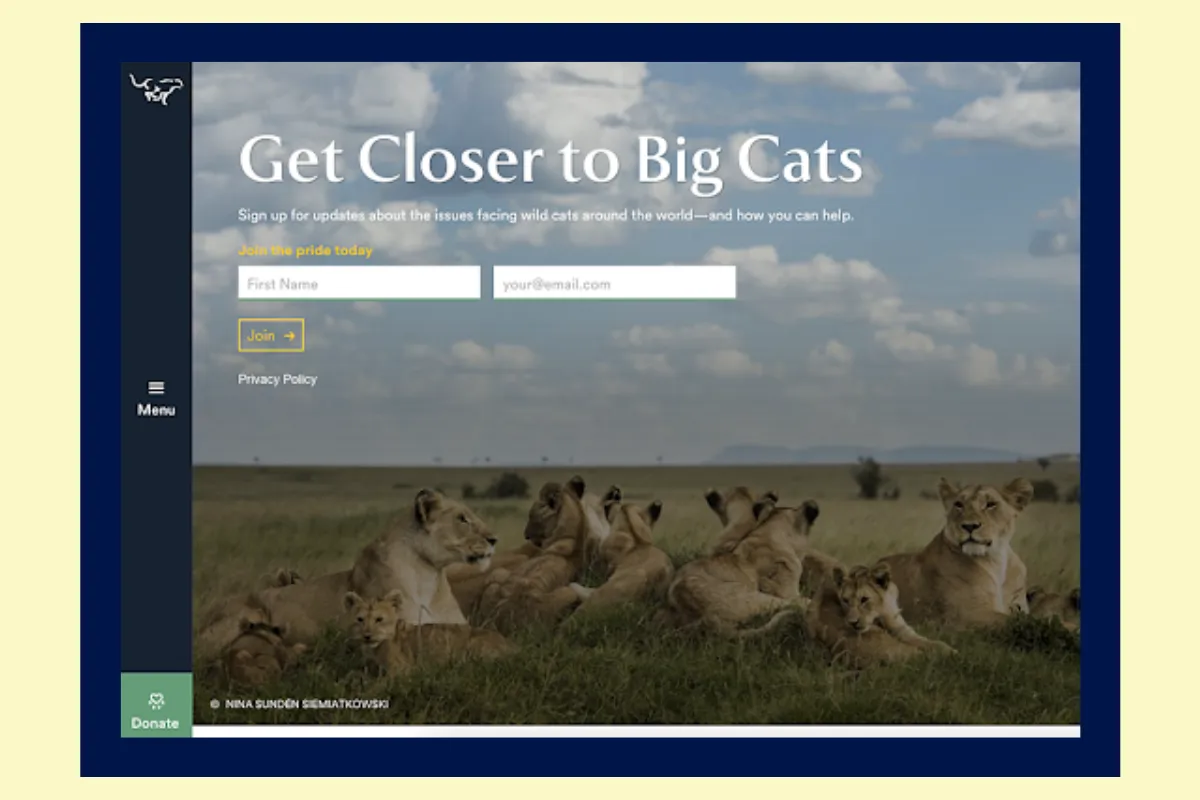 Join (Panthera) cta example