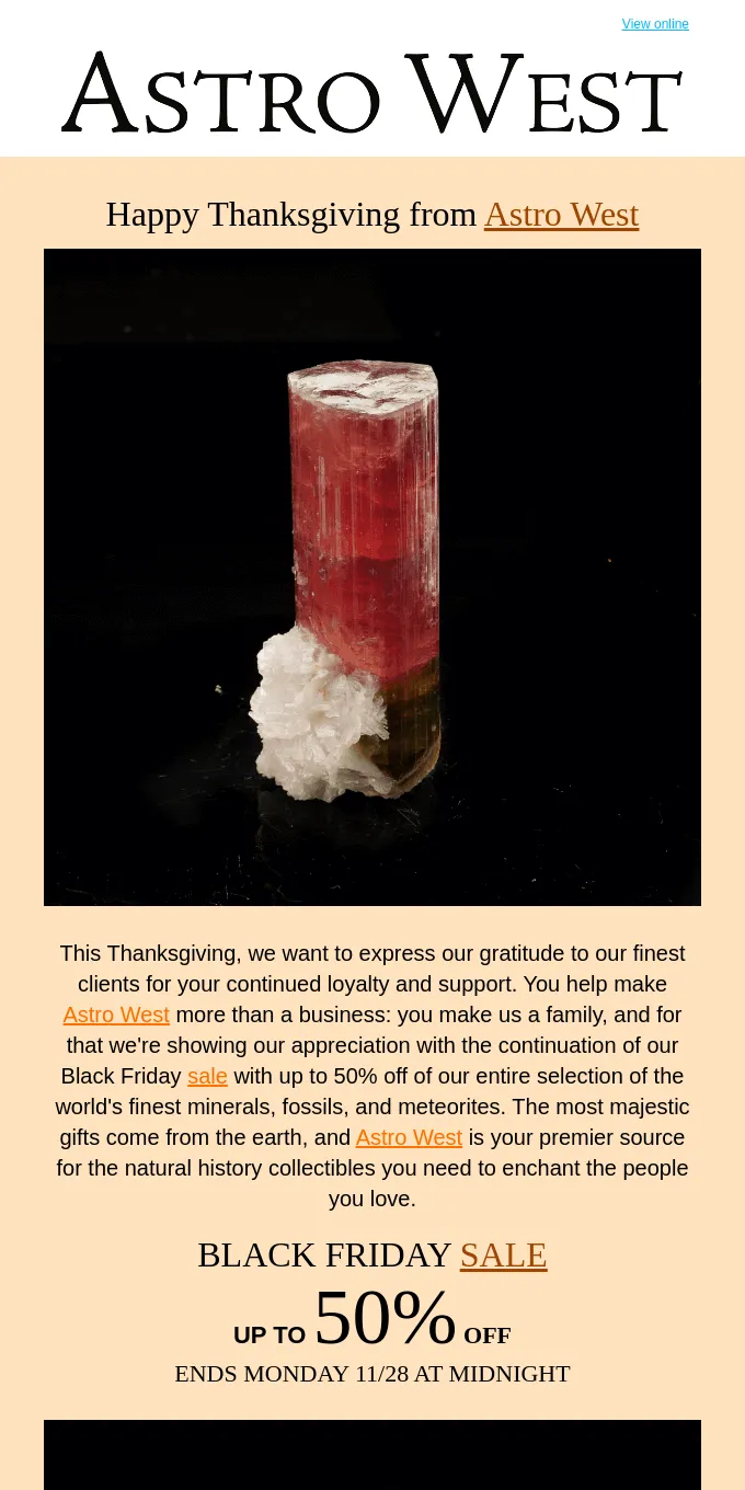 Thanksgving email example: Astro West