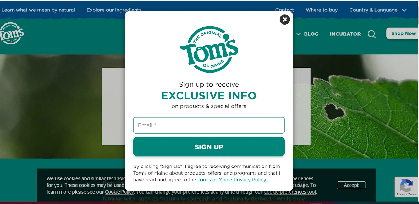 Lead Capture form exampl: The Origianl Tom's of Maine