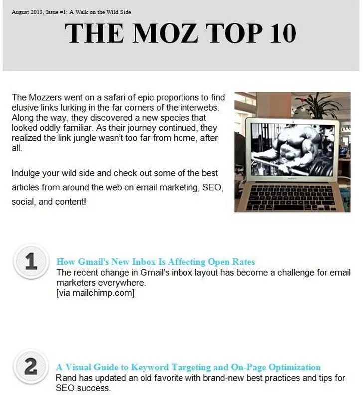 moz curated newsletter