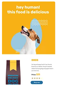 Email newsletter template