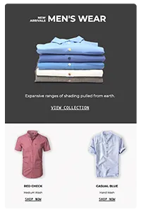 Email newsletter template