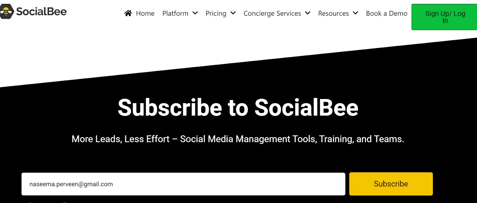 Newsletter best practice: Use double opt-in to build an engaged email list
