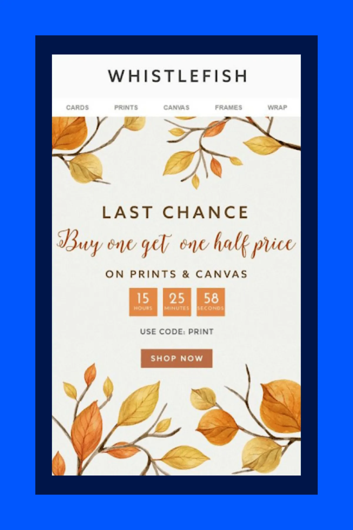 Whistlefish promotional email