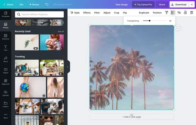 canva transparent image