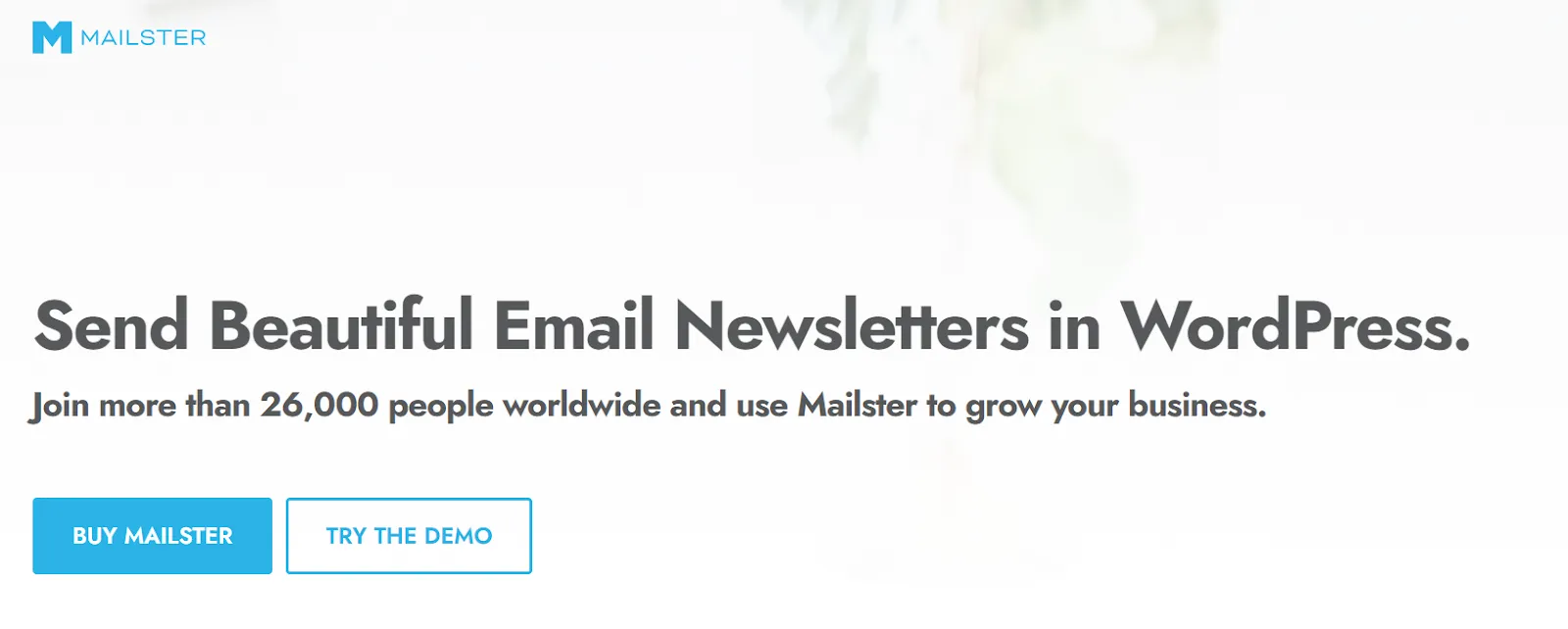Best WordPress email marketing plugins