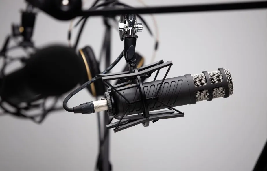 mic