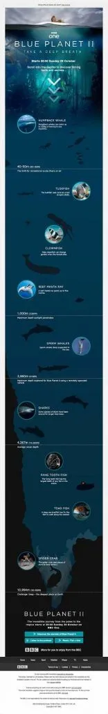 blue planet email