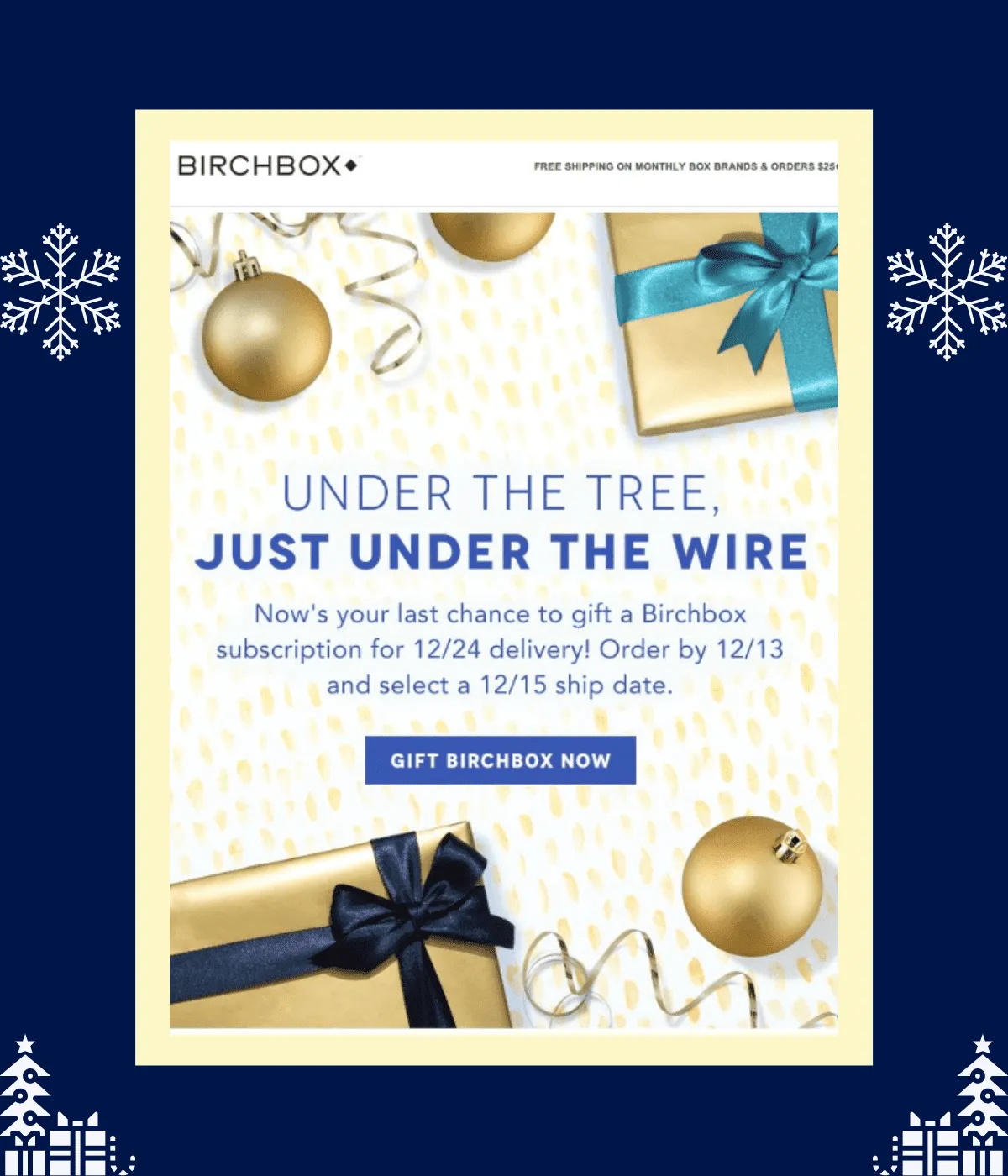 Last-minute deal offer by Birch Box