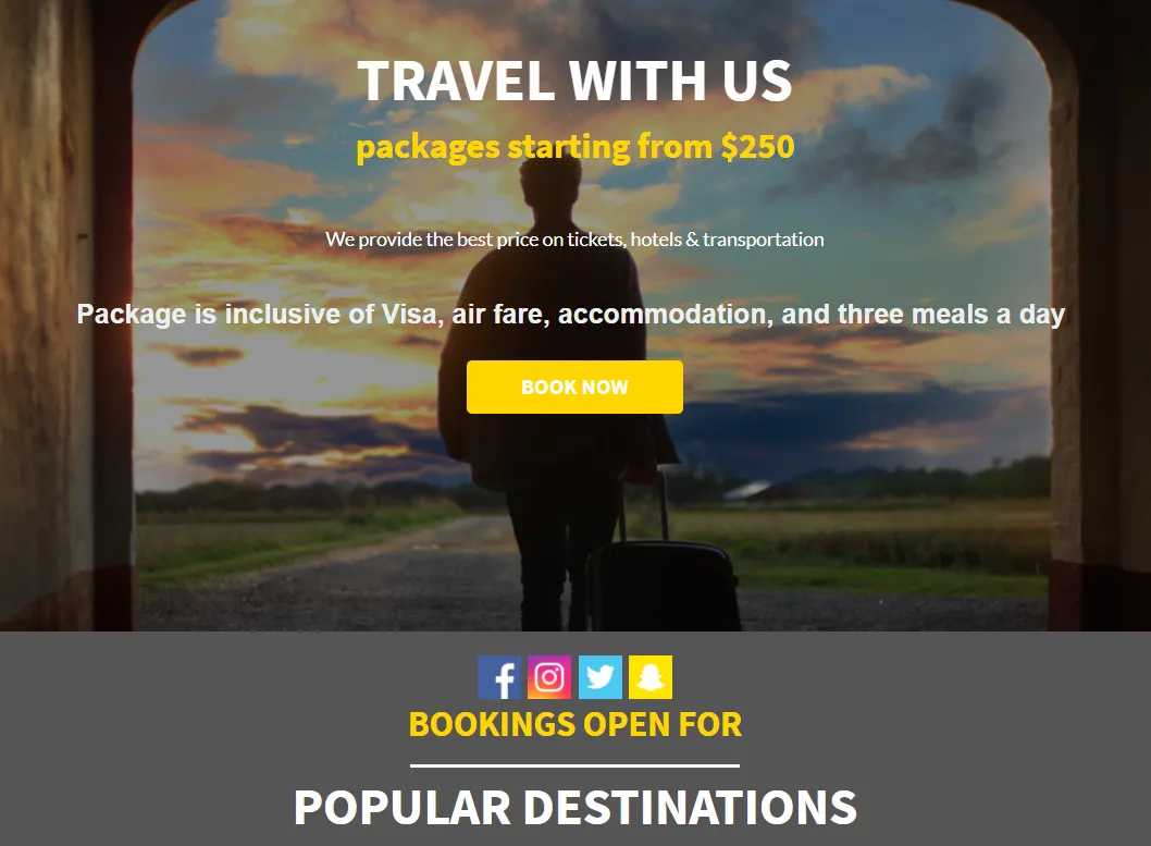 Picture of a traveler with luggage and travelling package details of the trips by organizers