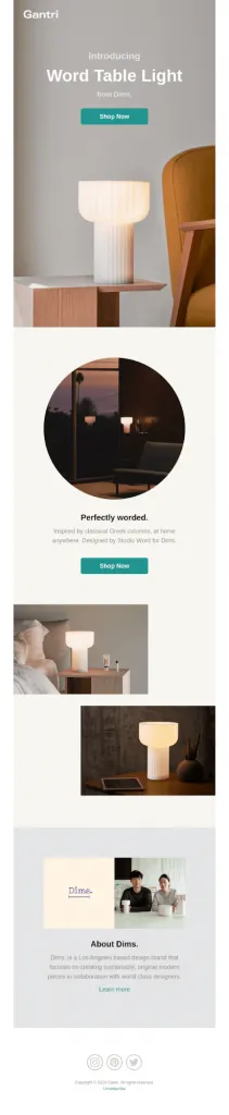 gantri product email