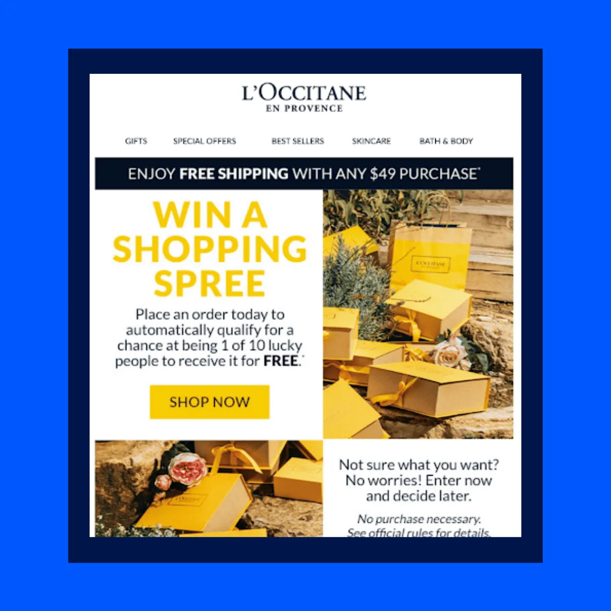 L'occitane promotional email