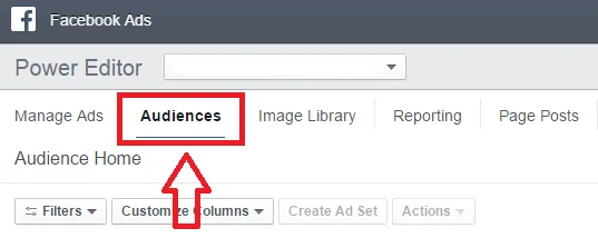 Facebook PowerEditor Audience
