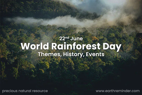 June newsletter ideas example: World Rainforest Day