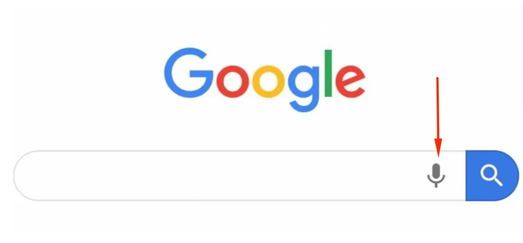 google voice search option
