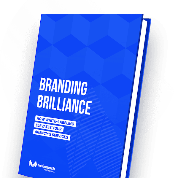 Branding Brilliance Ebook Cover
